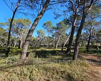Terrain, 14 830 m²