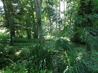 Maison, 97 m²