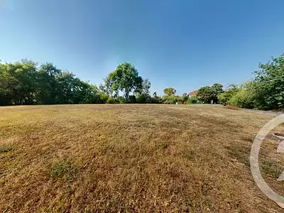 Terrain