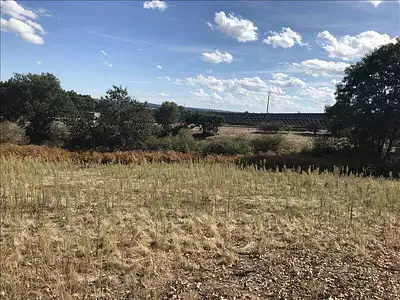 Terrain, 1 336 m²
