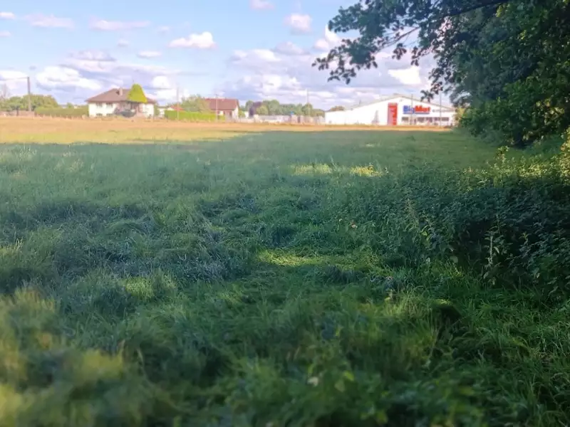 Terrain, 6 704 m²