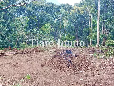 Terrain, 1 136 m²