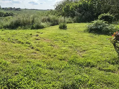Terrain, 1 809 m²