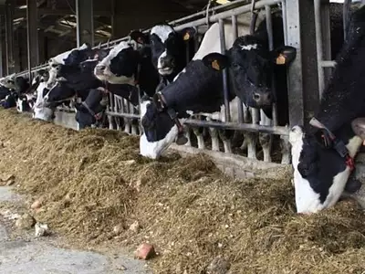 Divers, 2 000 000 m²