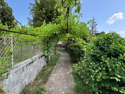 Maison, 51 m²
