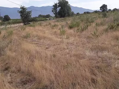 Terrain, 7 715 m²