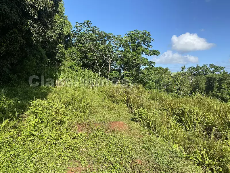 Terrain, 2 280 m²