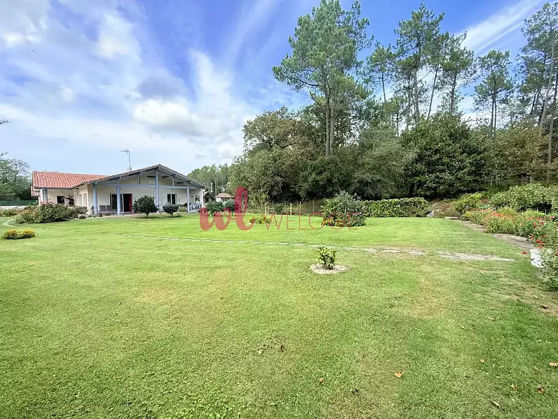 Maison, 175 m²