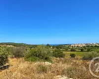Terrain