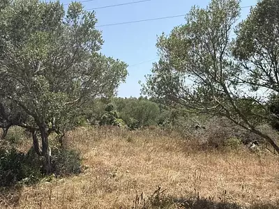 Terrain, 4 600 m²
