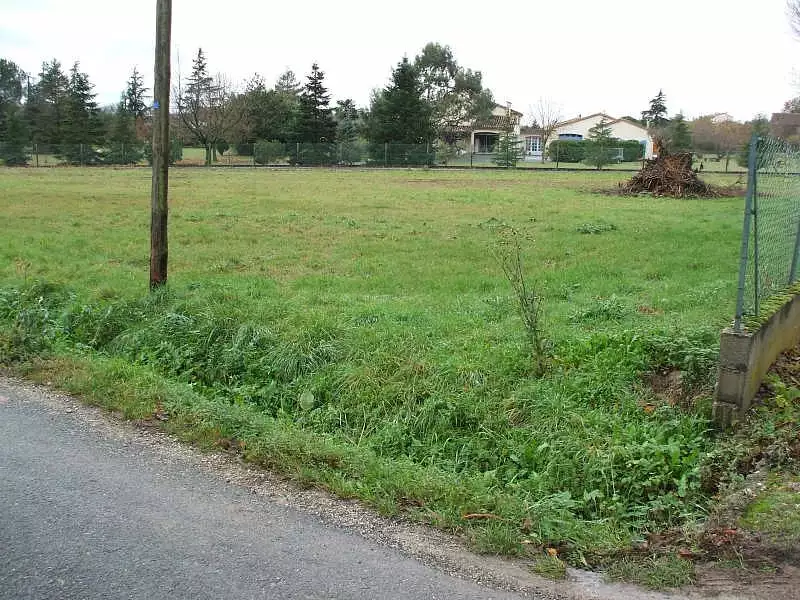 Terrain