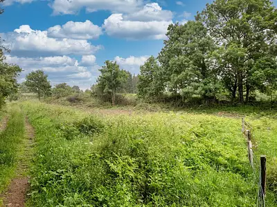Terrain