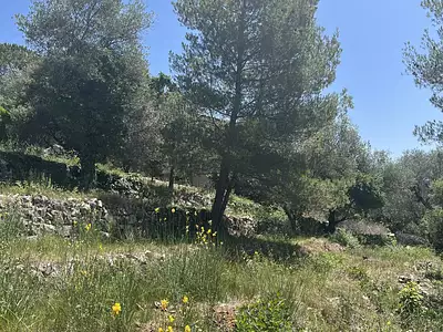 Terrain, 2 452 m²