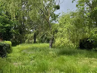 Terrain, 781 m²