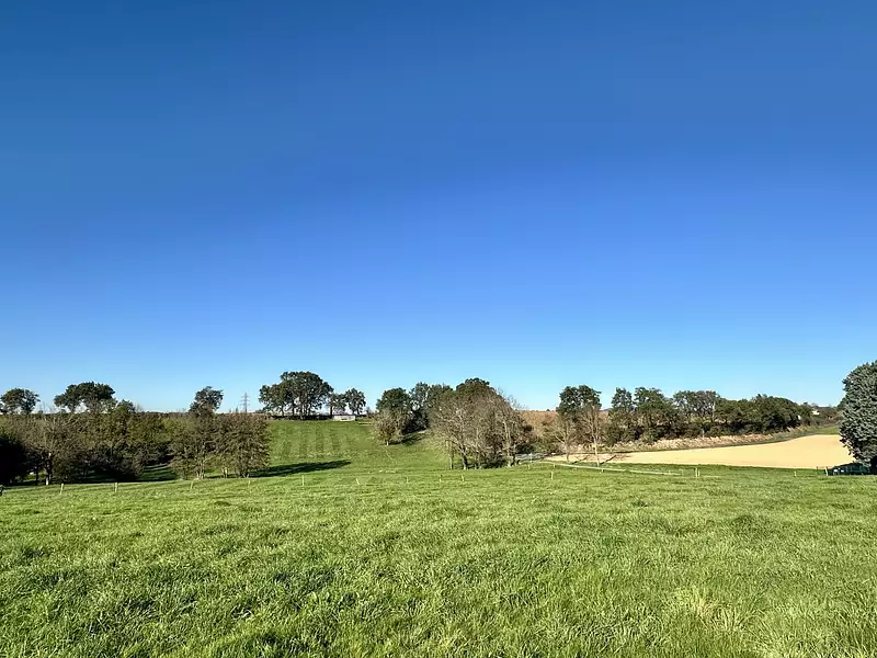 Terrain, 775 m²