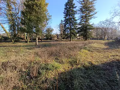Terrain