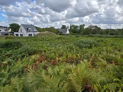 Terrain, 1 005 m²