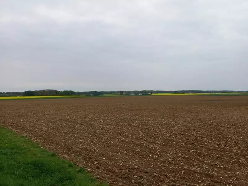 Terrain, 2 924 m²