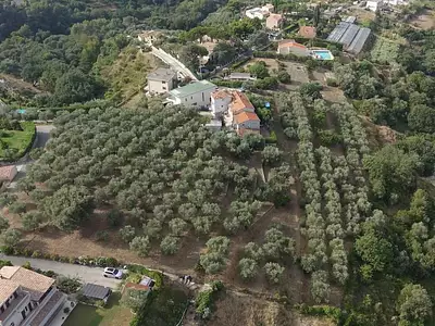 Terrain, 16 000 m²