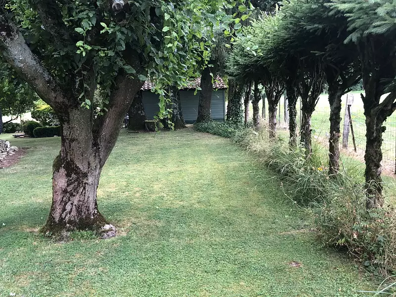 Maison, 244 m²