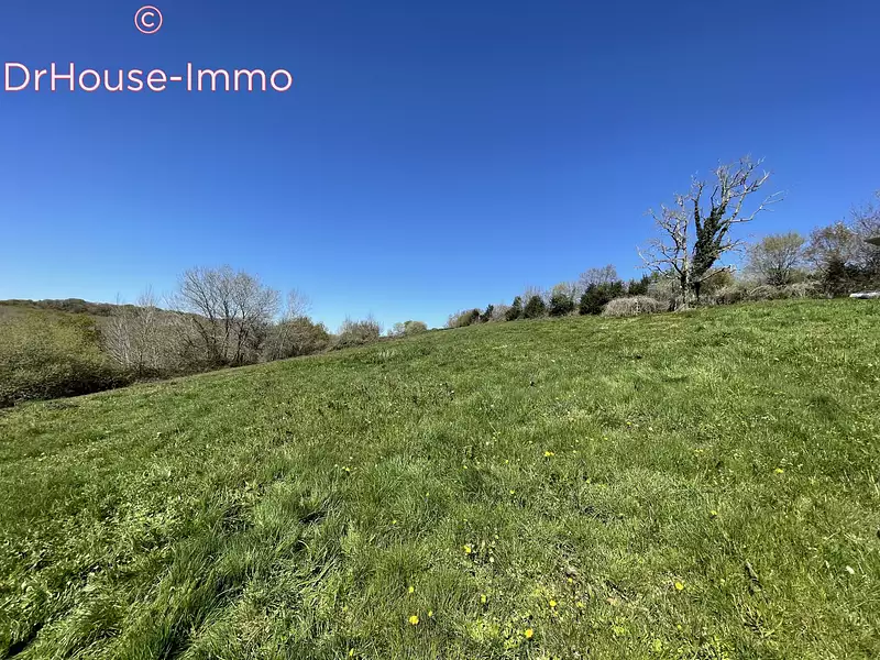 Terrain