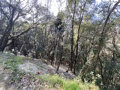 Terrain, 2 397 m²