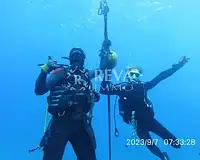 Divers