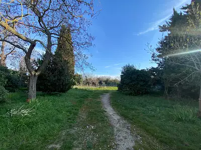 Terrain, 1 446 m²