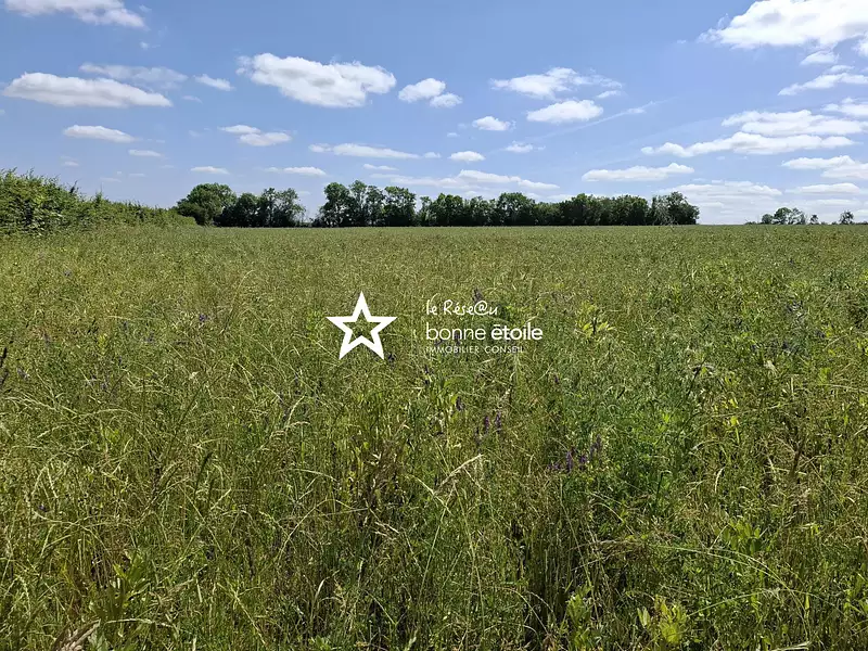 Terrain, 120 000 m²