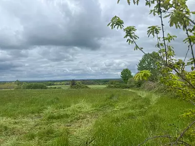 Terrain, 7 410 m²