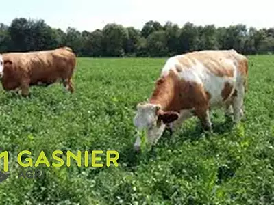 Divers, 1 020 000 m²