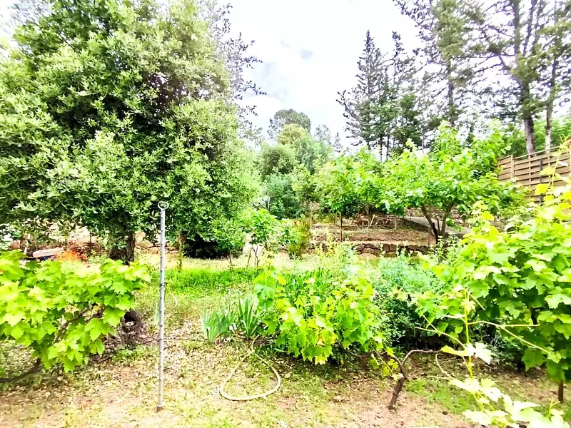 Terrain, 705 m²