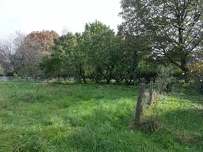 Terrain, 2 783 m²