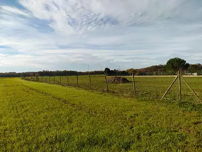 Terrain, 1 298 m²