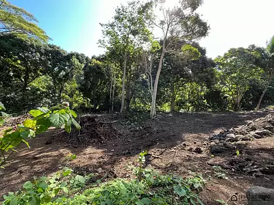 Terrain, 1 136 m²