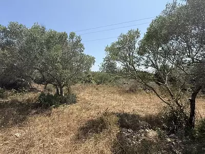 Terrain, 4 600 m²