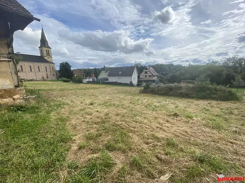 Terrain