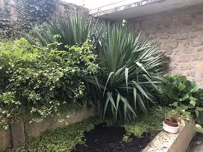 Appartement, 50,04 m²