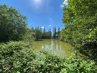 Terrain, 6 300 m²