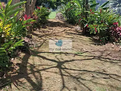 Terrain, 2 150 m²
