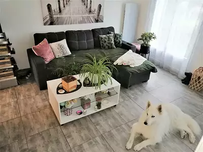 Maison, 52 m²