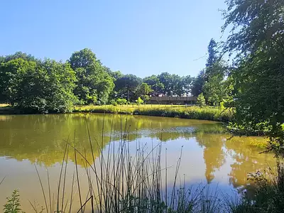 Maison, 265 m²