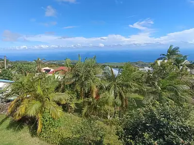 Terrain, 406 m²