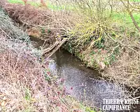 Terrain, 120 000 m²