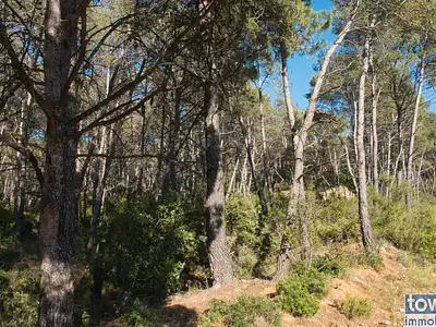 Terrain, 42 302 m²