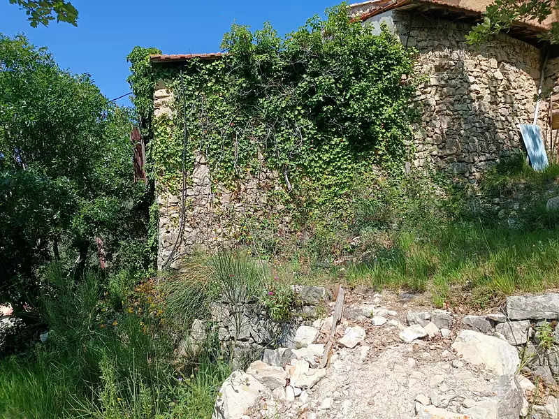 Terrain, 6 000 m²