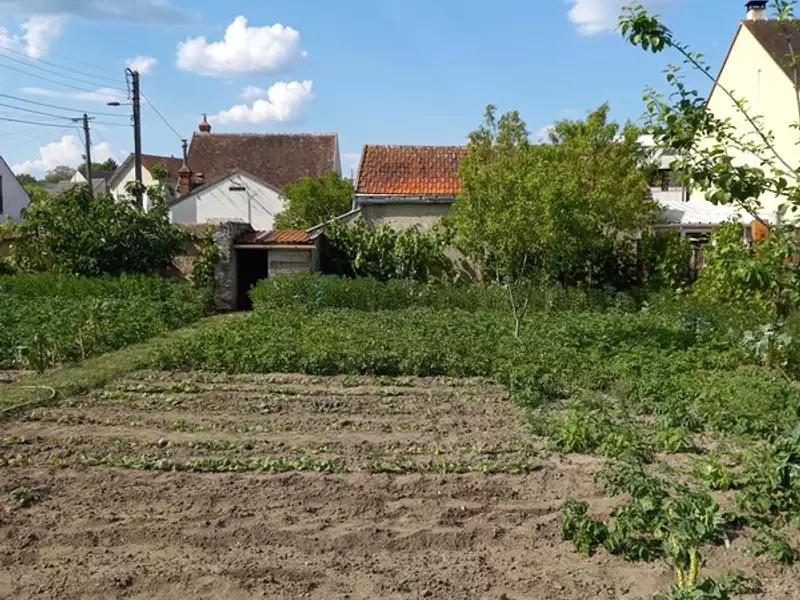 Terrain, 500 m²