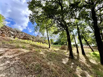 Terrain, 1 406 m²