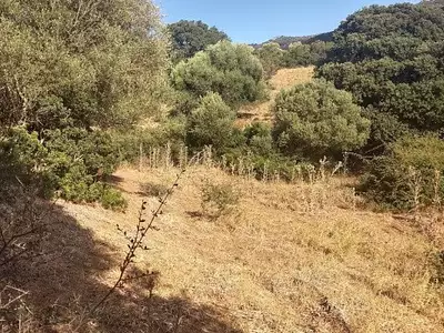 Terrain, 2 900 m²