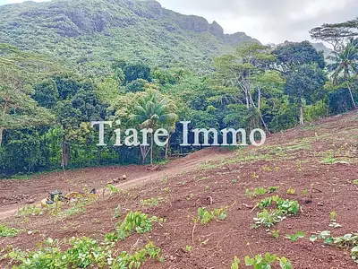 Terrain, 1 600 m²